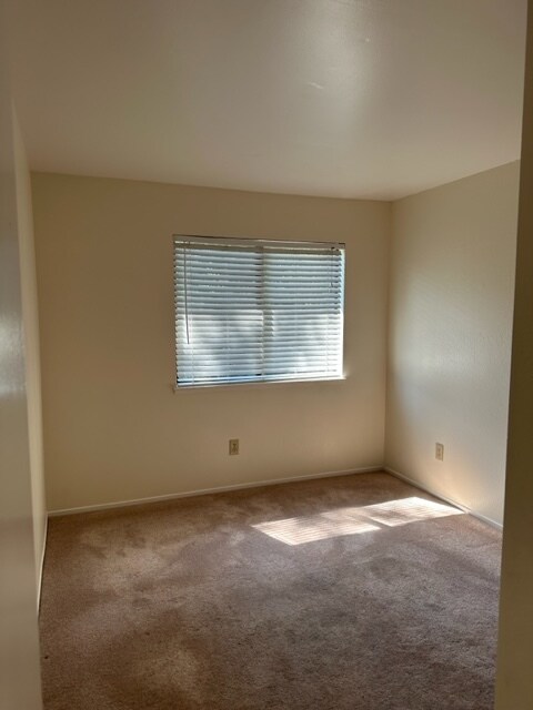 Building Photo - 301 Albion Ct