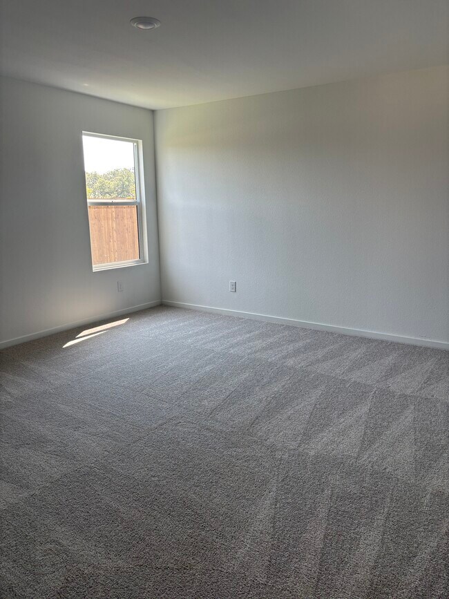 Primary Photo - 3040 Burmese St