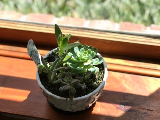 Building Photo - 2735 Peeler Rd