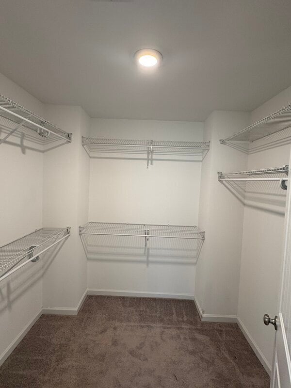 Building Photo - 230 Wading Bird Loop