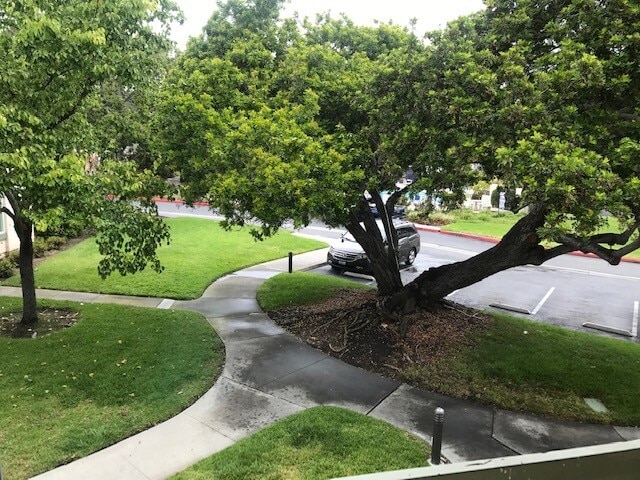 Building Photo - 2770 Caminito Cedros