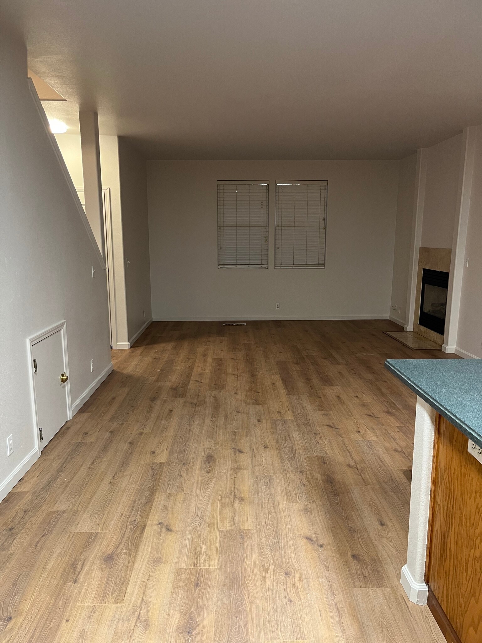 Family room - 1358 Cadence Way