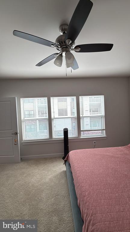 Building Photo - 46294 Mount Milstead Ter
