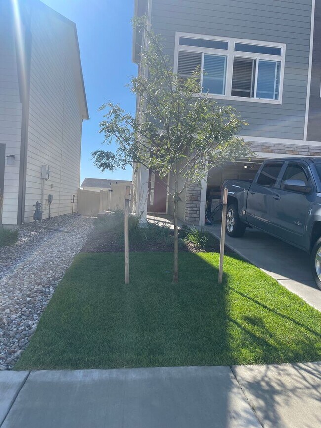 Building Photo - Single family home in Chapel Heights!