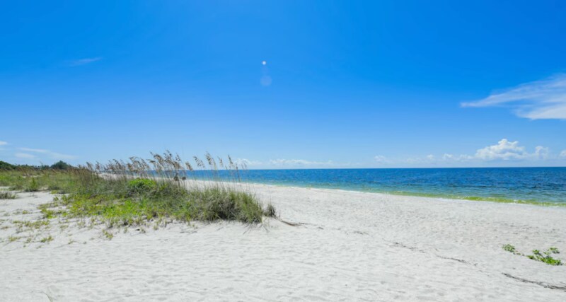 Building Photo - 497 Firebush Dr