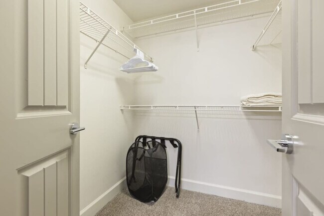 Building Photo - 5725 Town and Country Blvd