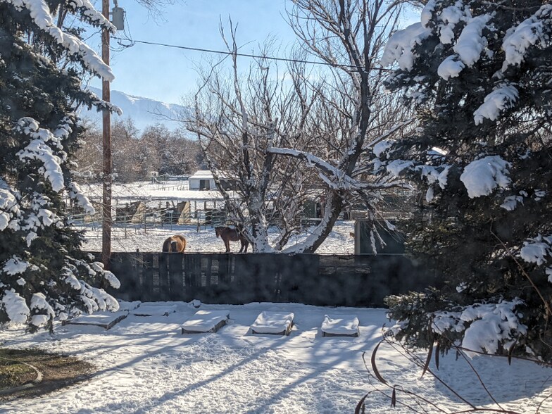 Building Photo - 1512 E 4500 S