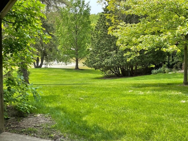 Building Photo - 1 Bed 1 Bath