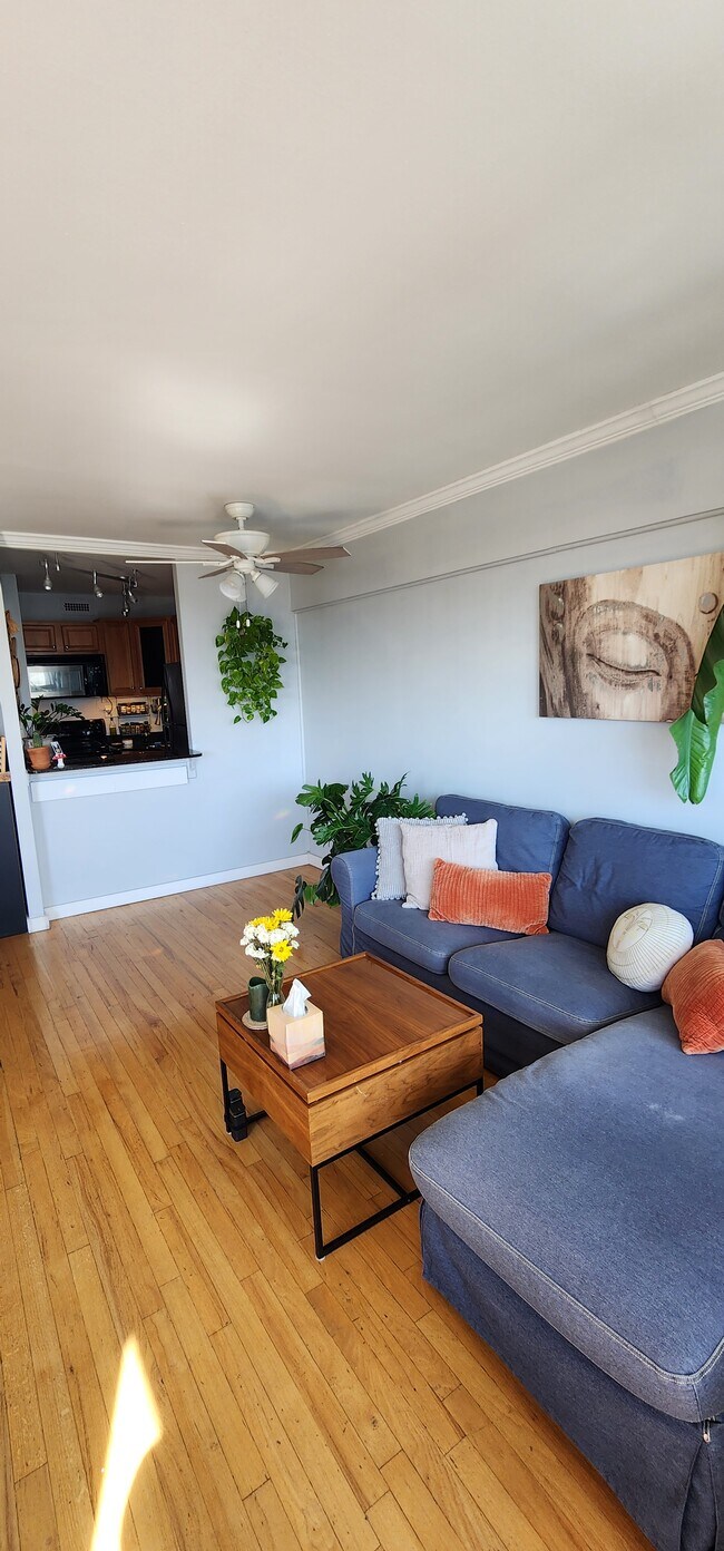 Building Photo - 1460 N Sandburg Terrace