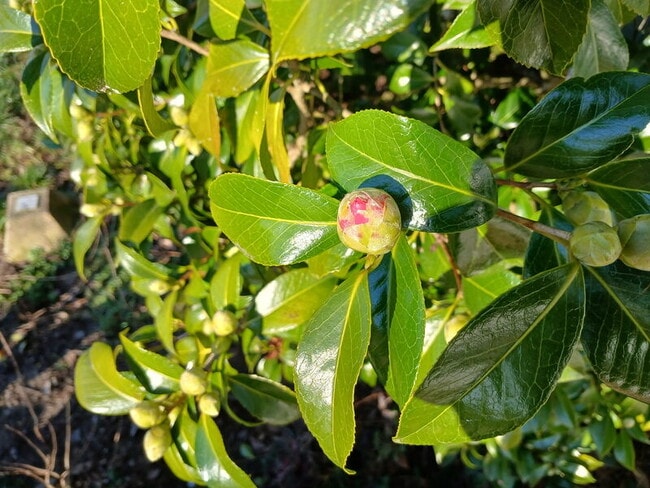 Building Photo - 19105 NE 112th Ave