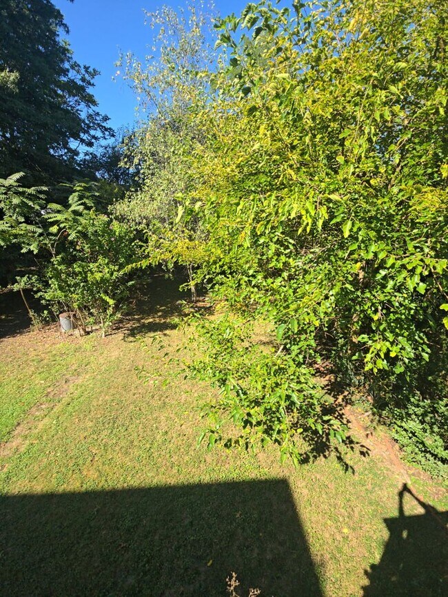 Building Photo - Spacious 3-Bedroom Home w/ Parking & Centr...