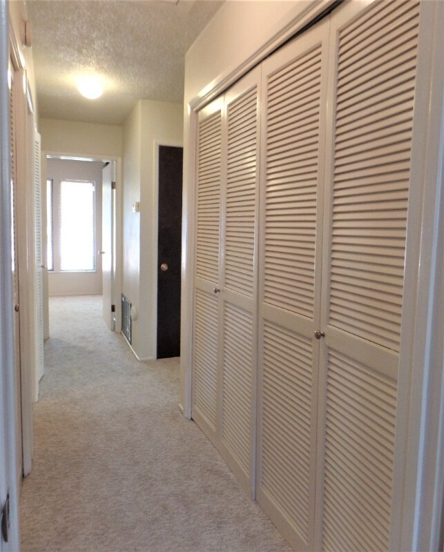 Building Photo - 127 Shadow Mountain Ct