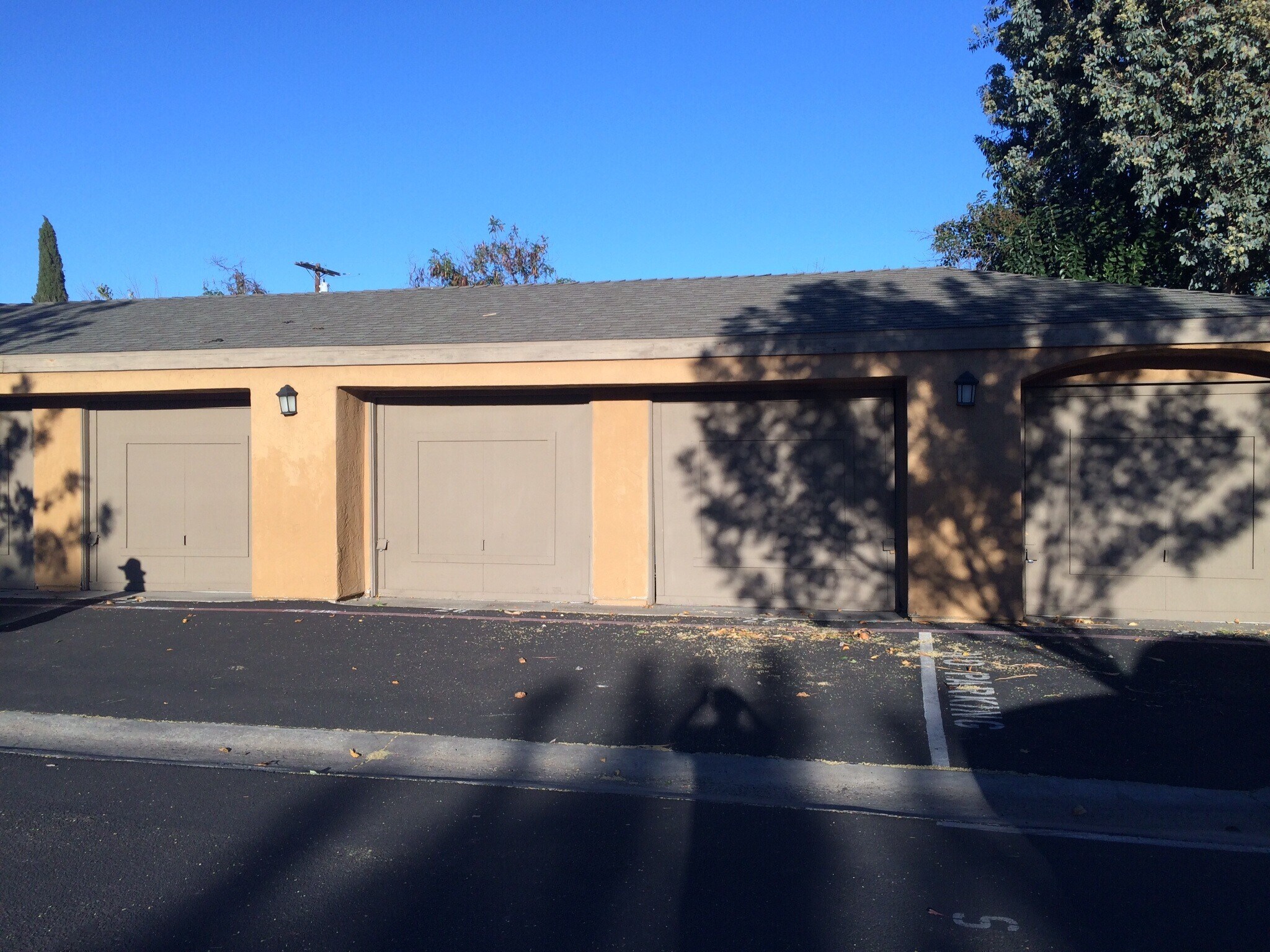 Building Photo - 1101 Chestnut St