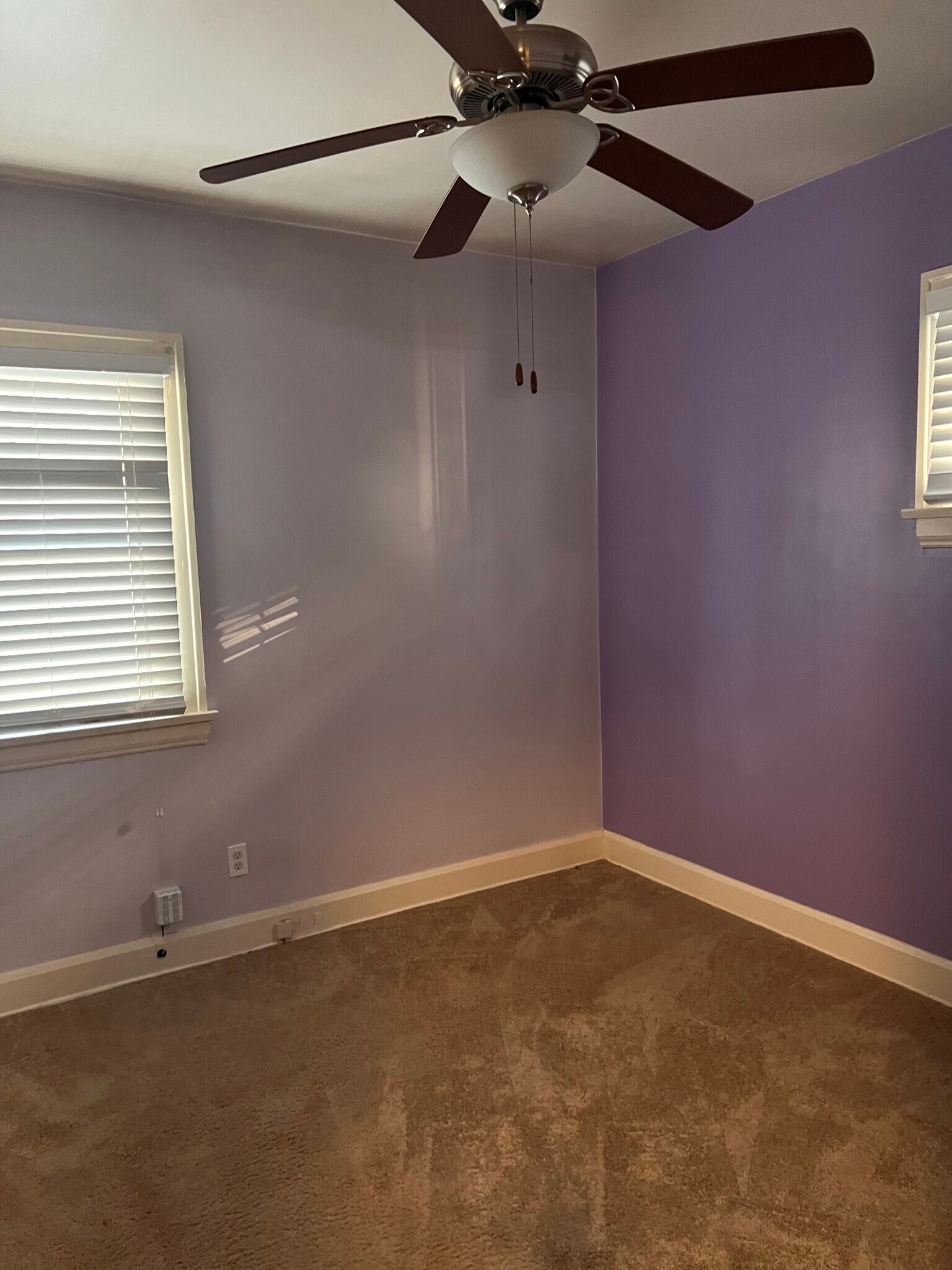 Building Photo - 11621 Havel Ave