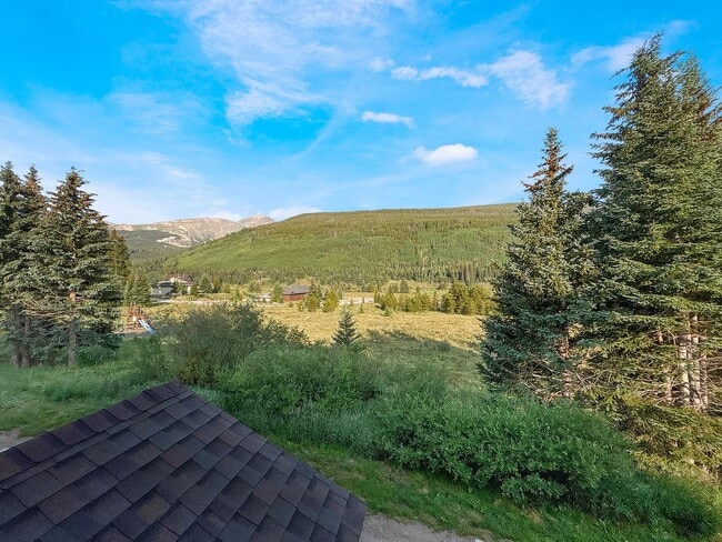 Building Photo - 3bed/2bath Condo, 10 minutes from Breck! Year lease (possible 6 month winter could be discussed)!