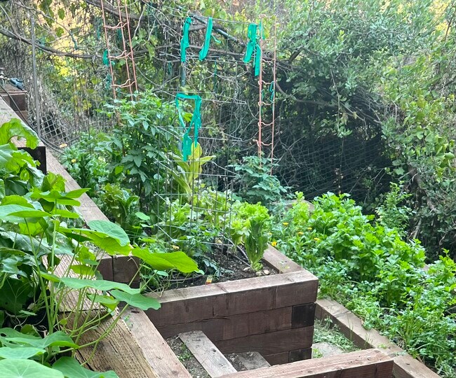 Building Photo - 3772 San Rafael Ave