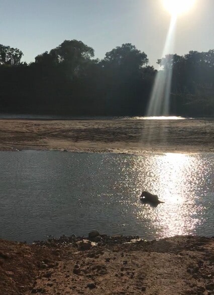 Building Photo - 4411 County Rd 127