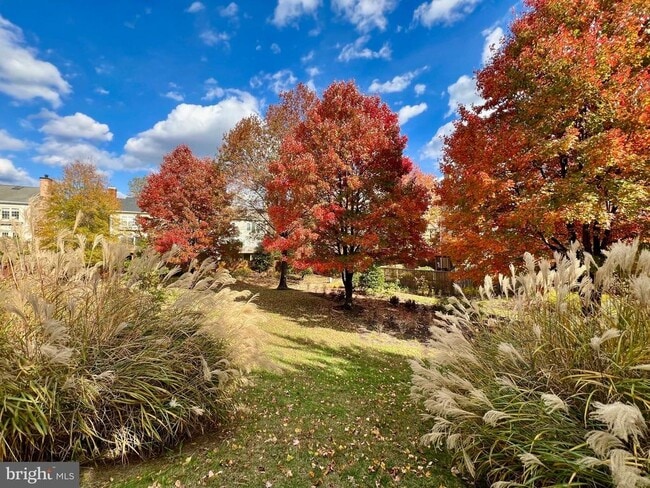 Building Photo - 1707 Leighton Wood Ln