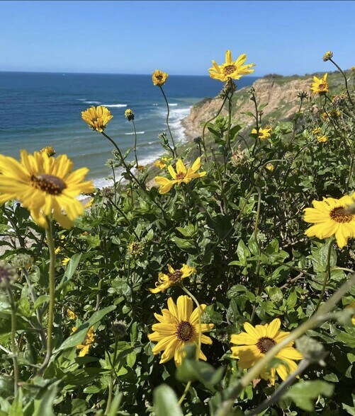 Building Photo - 719 N Cabrillo Ave