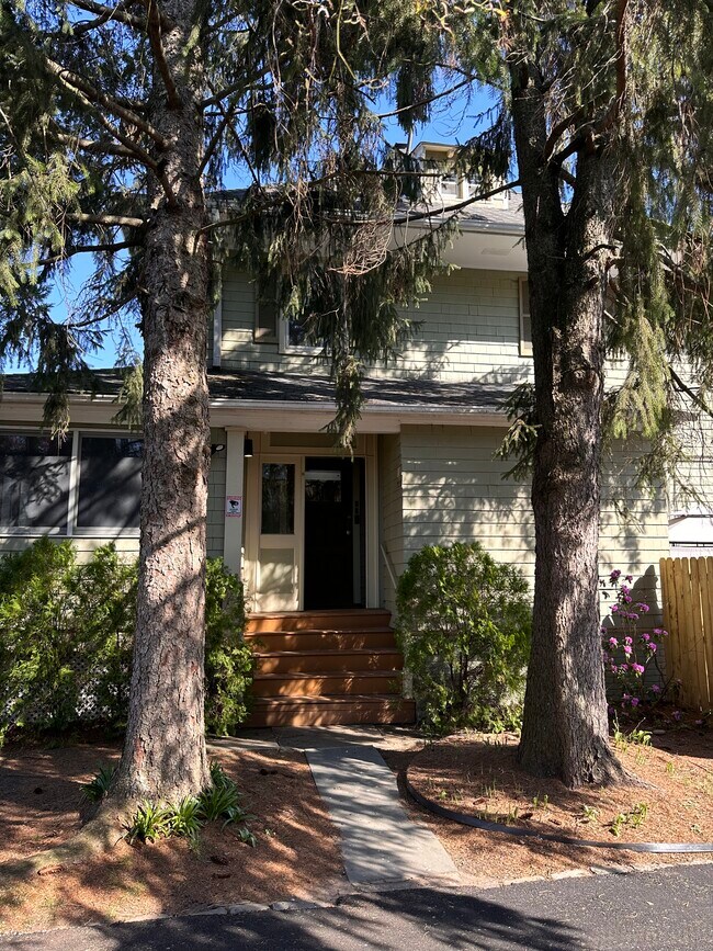 Main Entrance - 229 Walnut St