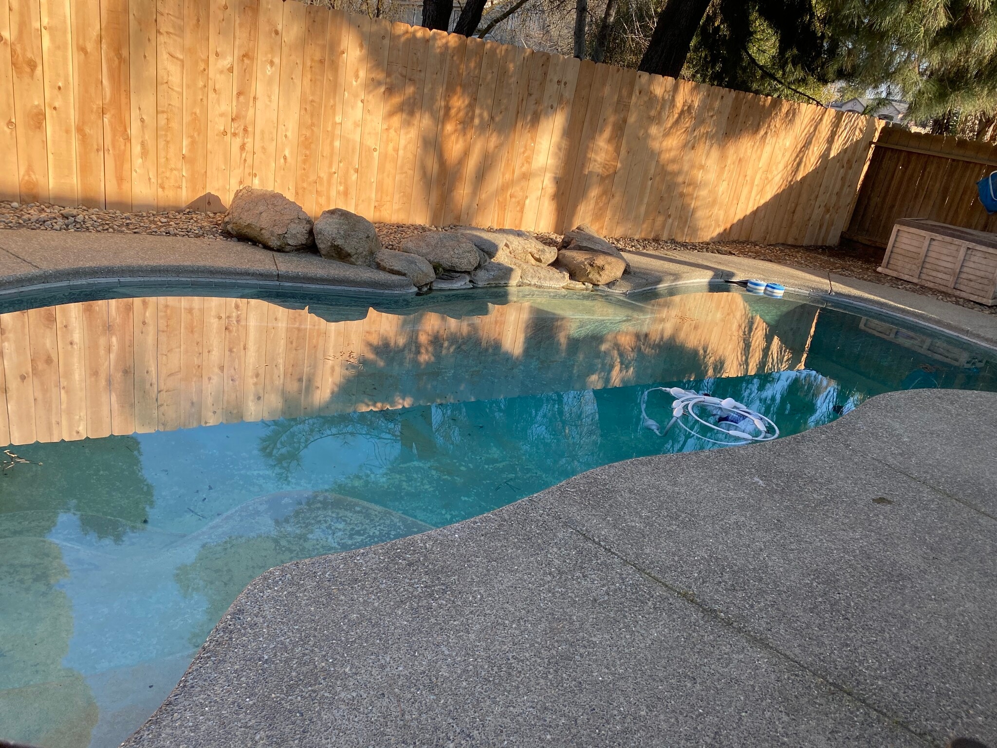 Pool - 1134 Pine Ct
