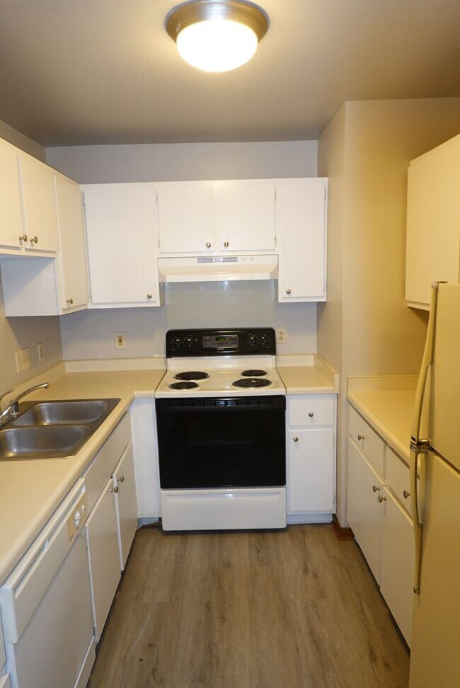 Building Photo - Modern Apartments Available Now!