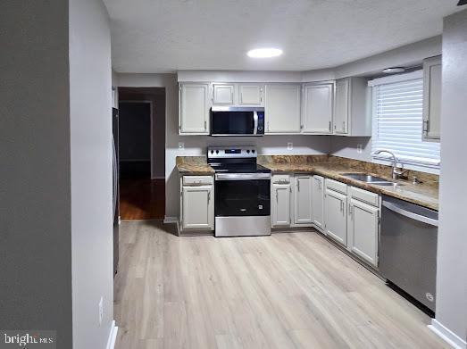 Building Photo - 11113 Maiden Dr