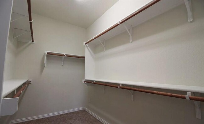 Building Photo - 3005 Angelina Ct
