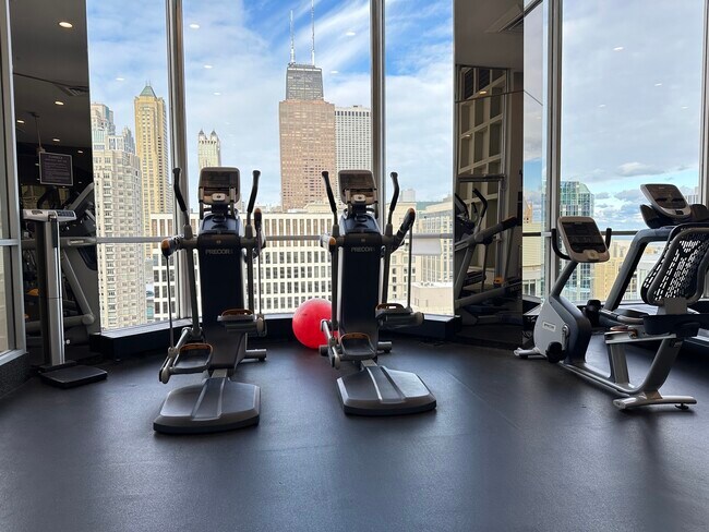 Building Photo - 535 N Michigan Ave