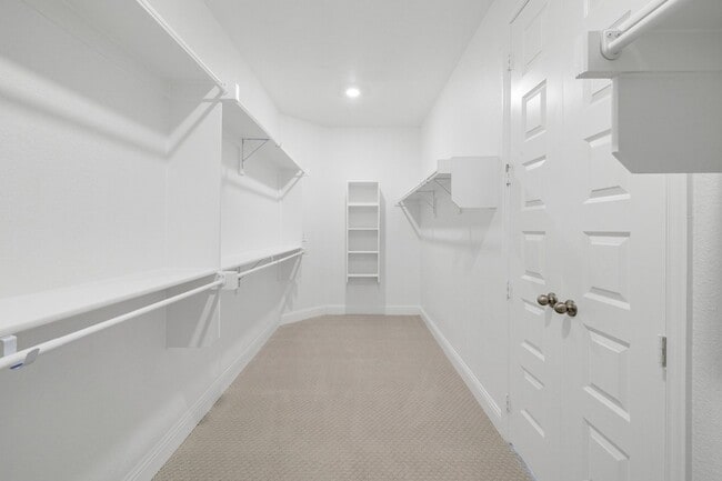 Building Photo - 310 Greystone Ct