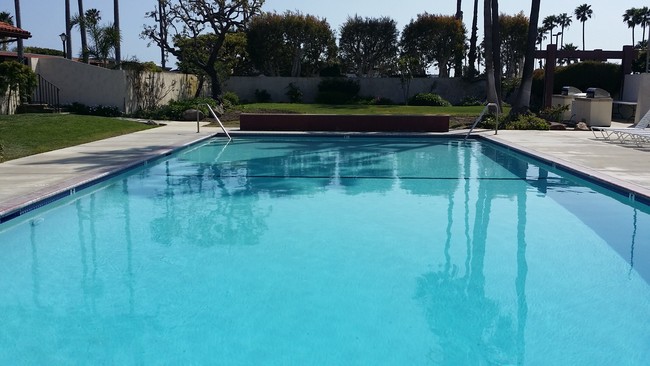 Pool - 29500 Heathercliff Rd