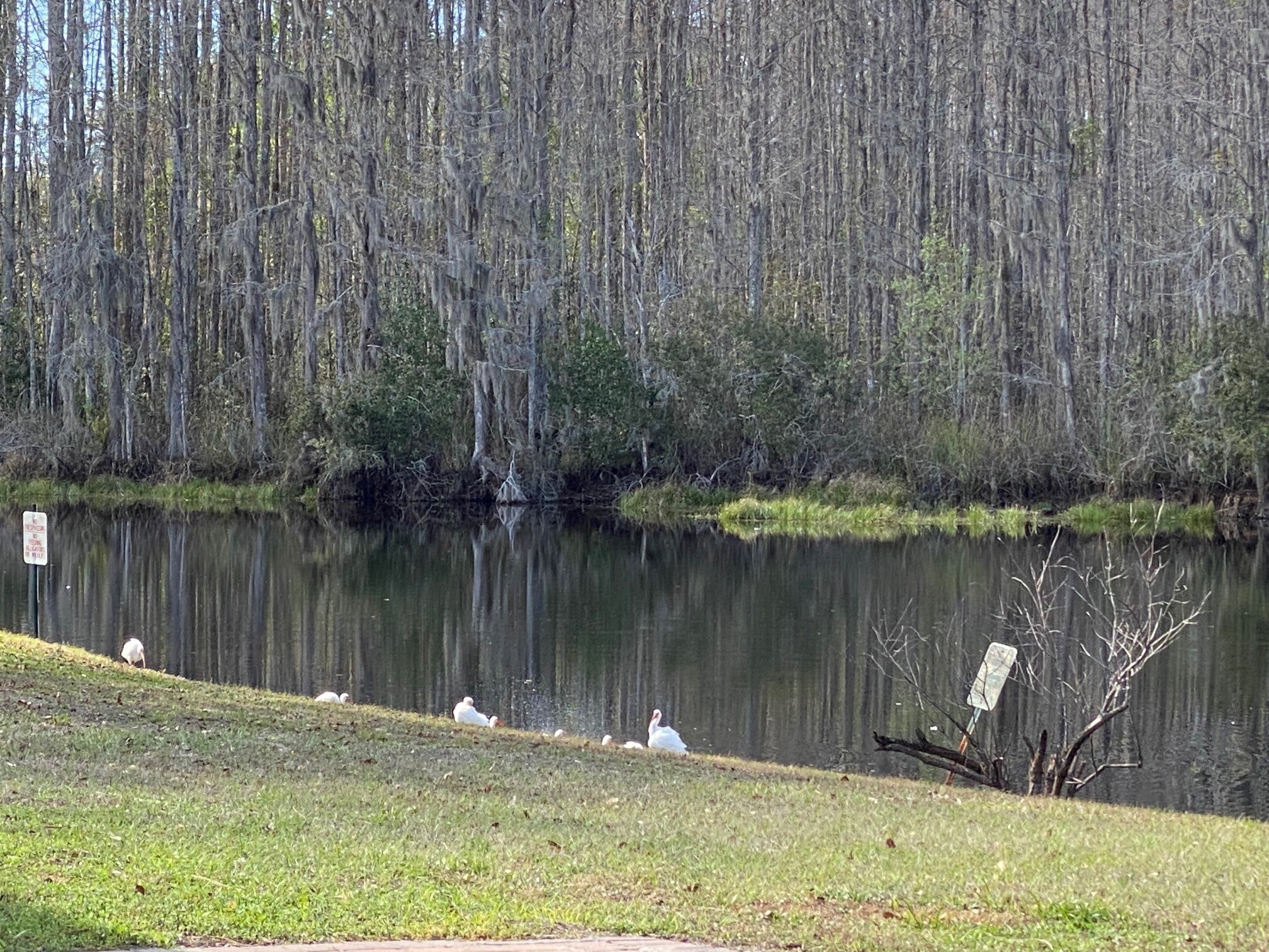 Backyard (2) - 12225 Environmental Dr