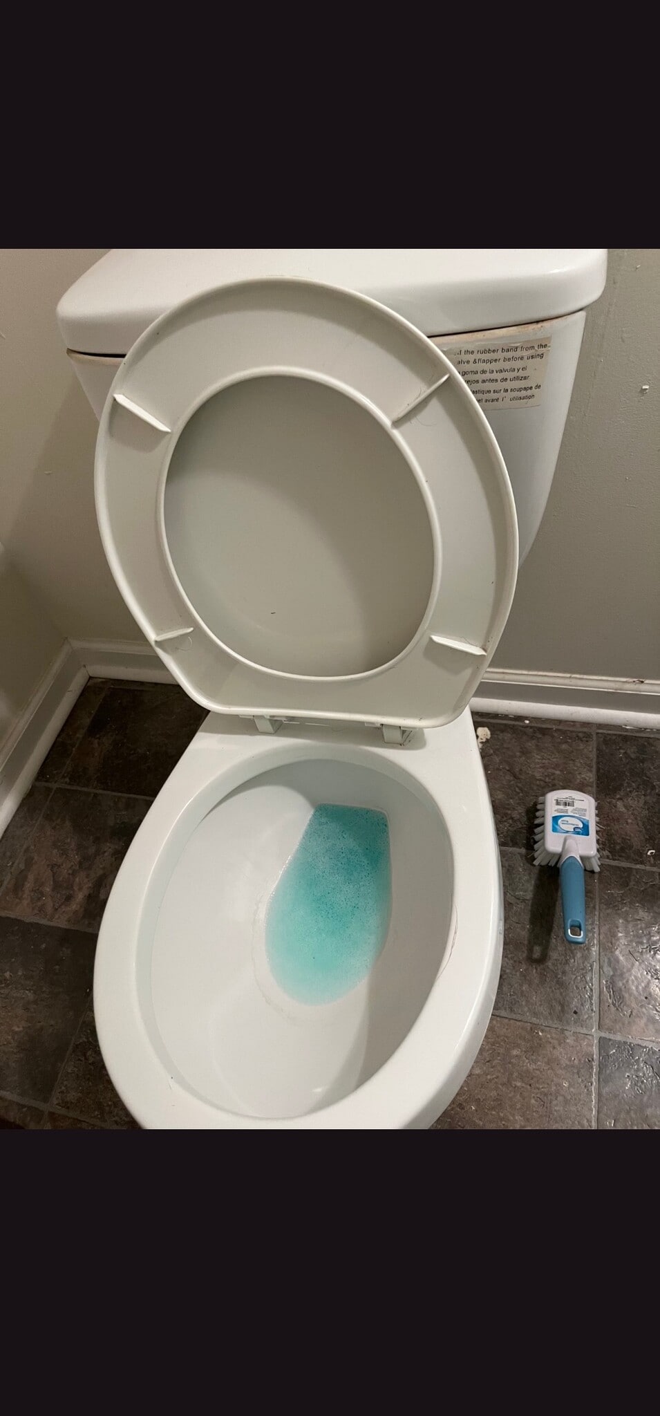 Building Photo - 581 Ila Rd