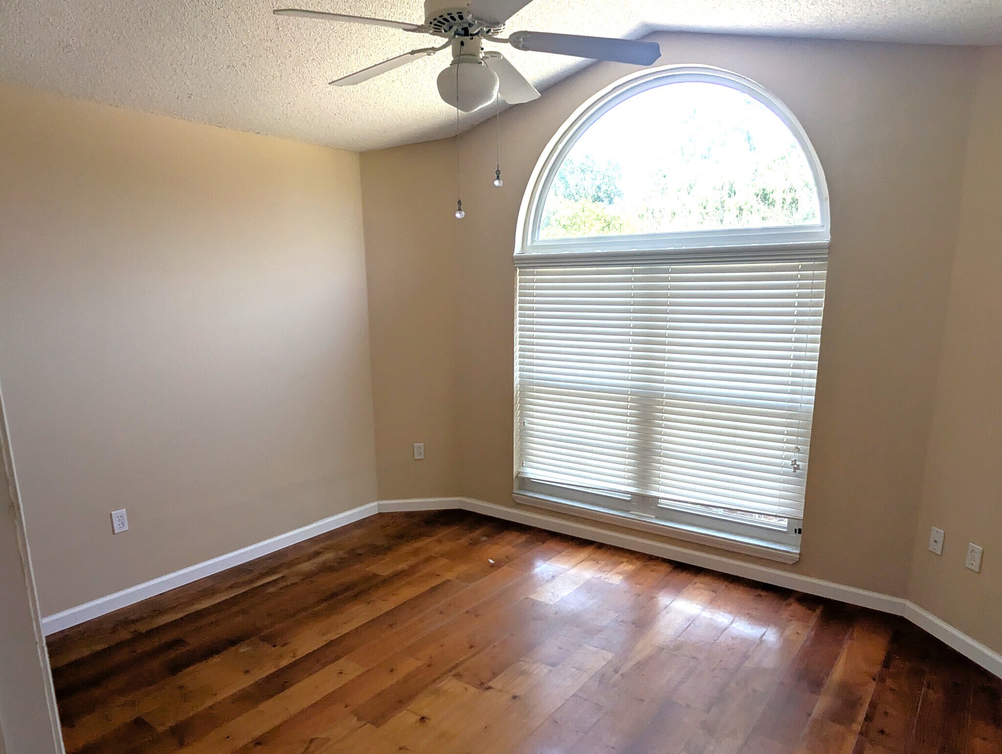 Building Photo - 3815 Sugar Creek Ct