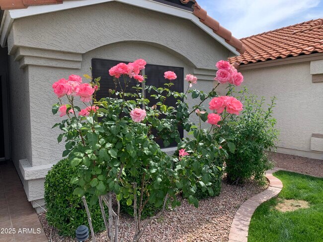 Building Photo - 8889 E Aster Dr