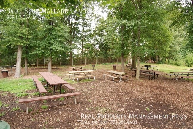 Building Photo - 3401 Blue Mallard Landing