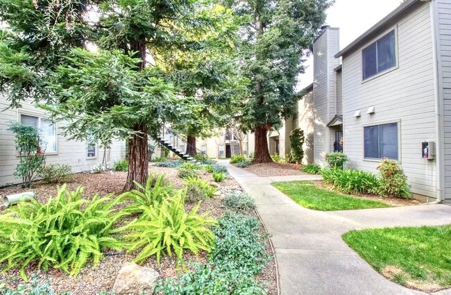 Building Photo - 9127 Newhall Dr