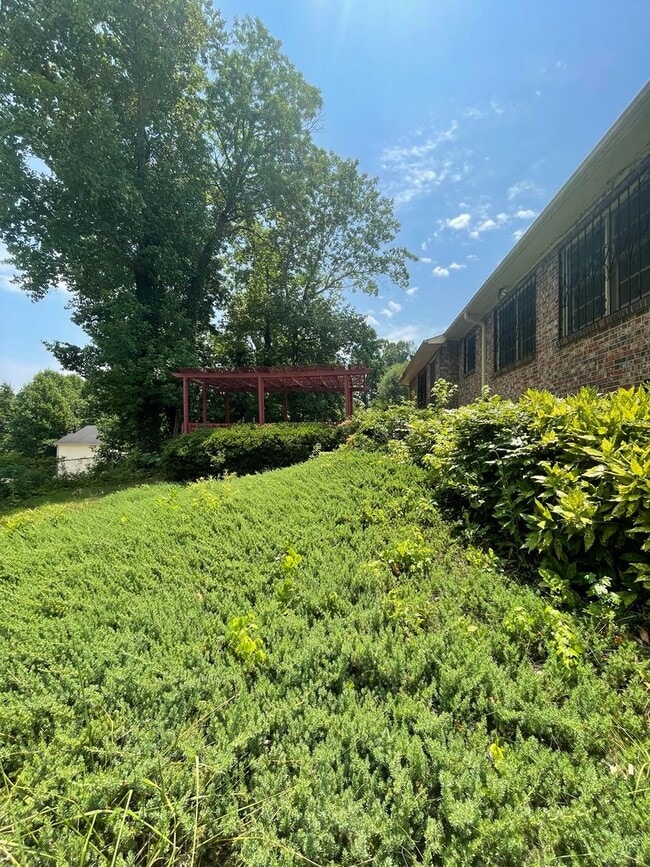 Building Photo - 2 bedroom 3 bath  Mid- Century style home! This home has a wonderful outdoor area great for Enter...