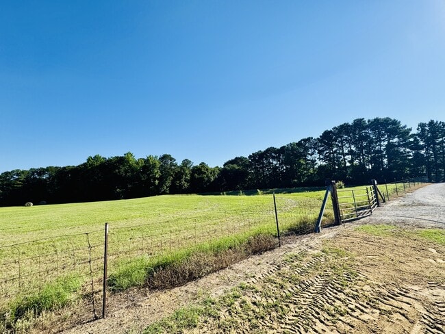 Building Photo - 131 Blissful Ct