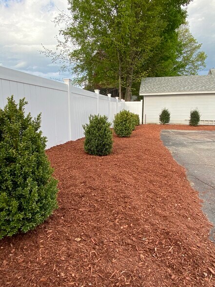 Privacy landscape - 2 1/2 Courtland St