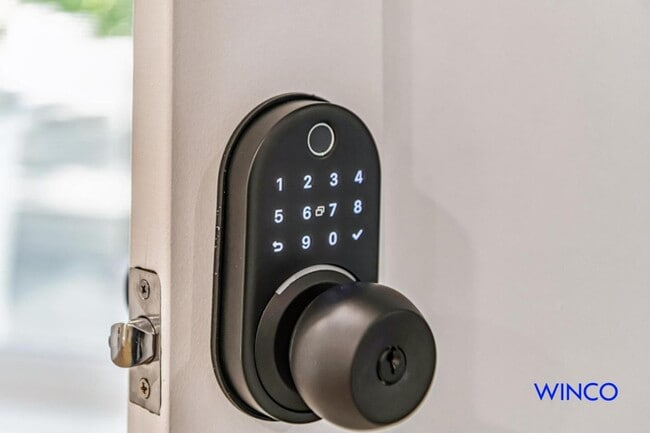 Building Photo - 372 Avalon Dr