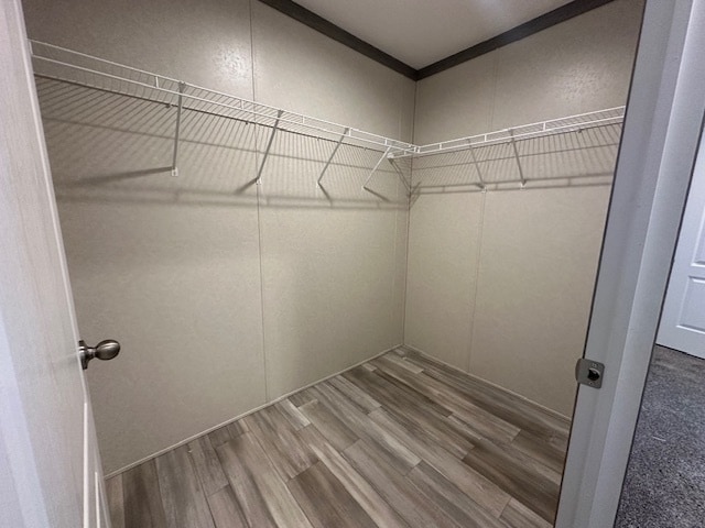 Building Photo - 193 Colorado St