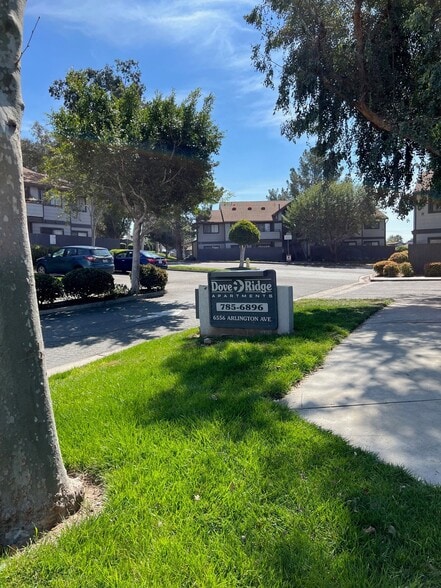 Primary Photo - Dove Ridge Apartments