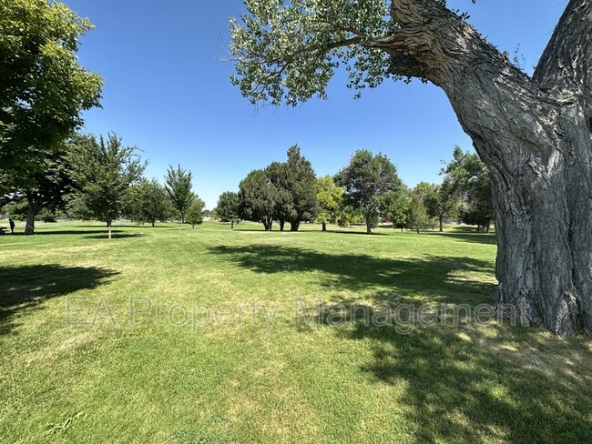 Building Photo - 3524 Cuervo Dr NE