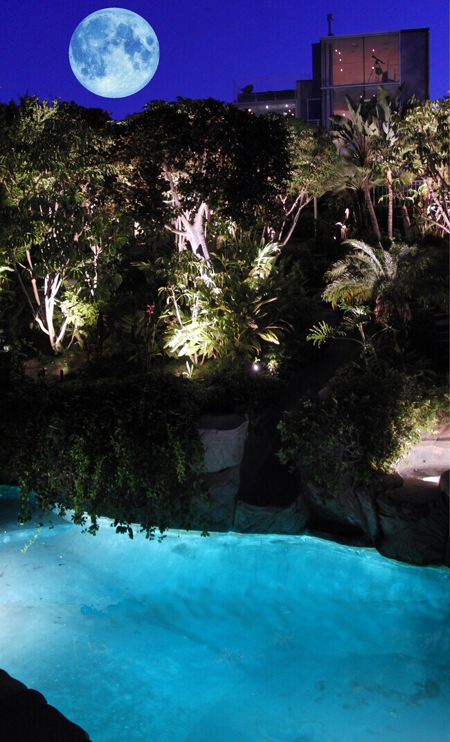 Pool & yard next to guesthouse - 456 S Spalding Dr