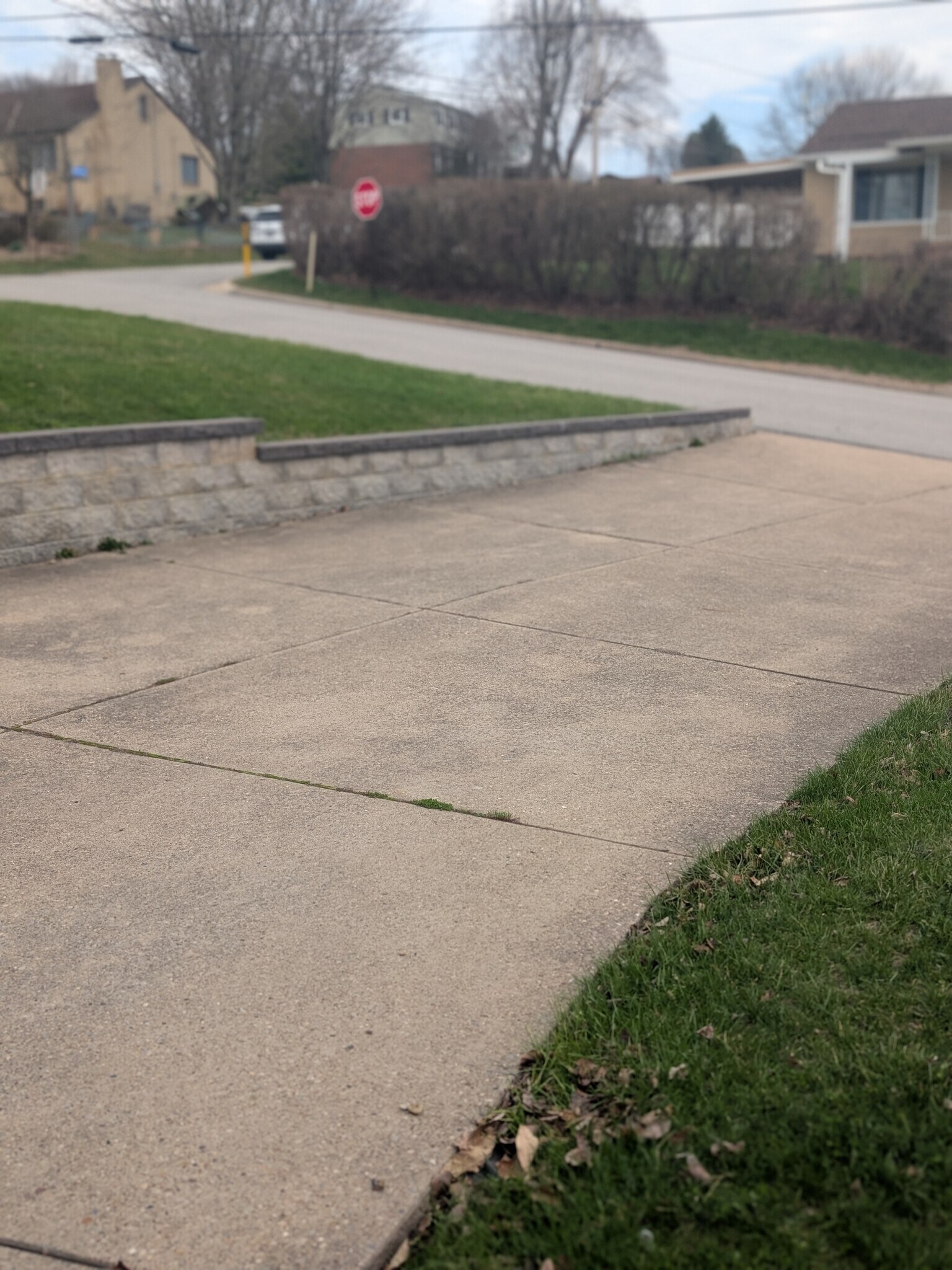 Building Photo - 2528 Anne Way