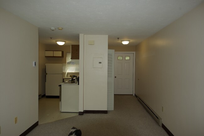 Building Photo - 3 Cook St