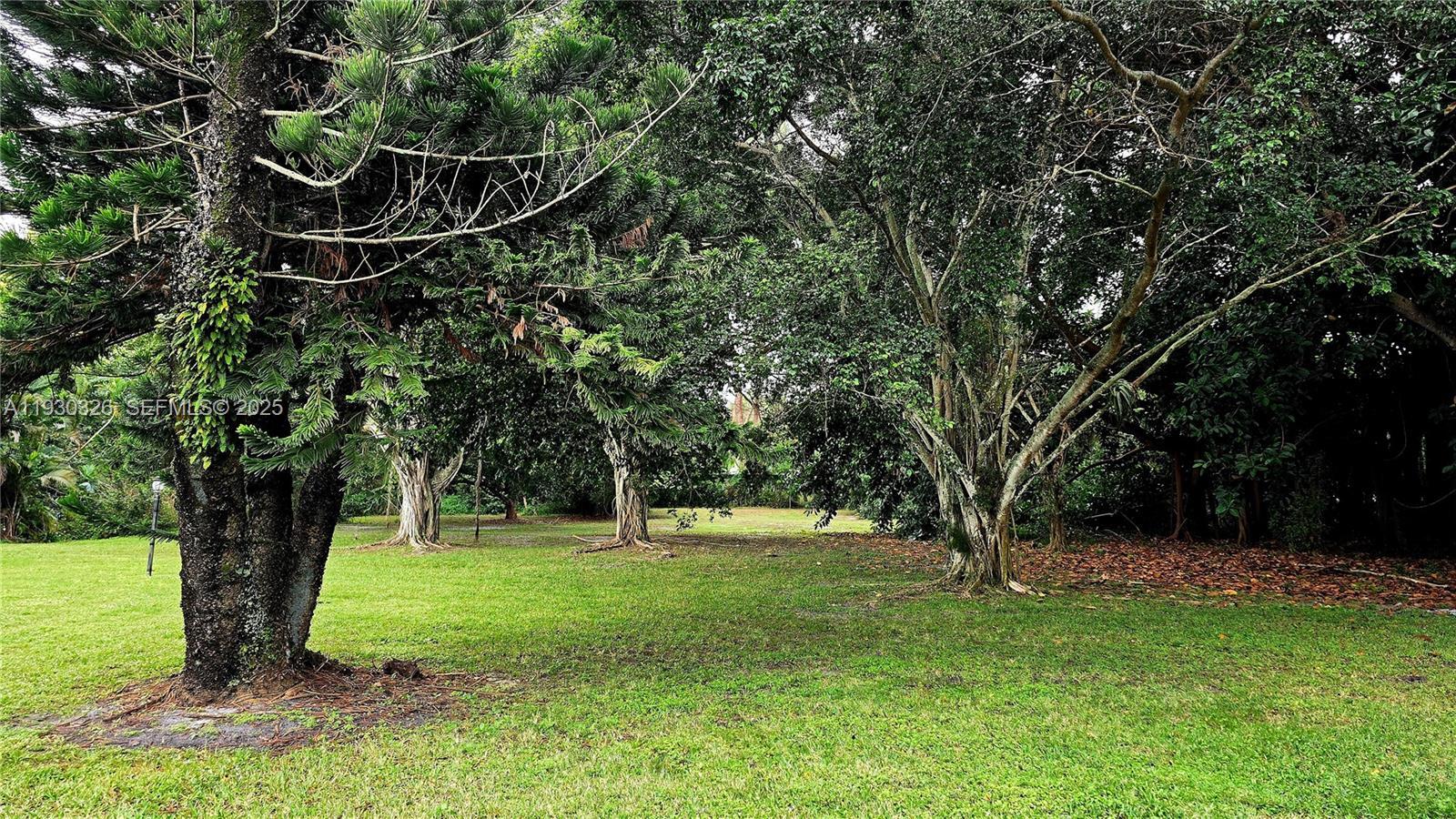 Building Photo - 1910 Palmland Dr