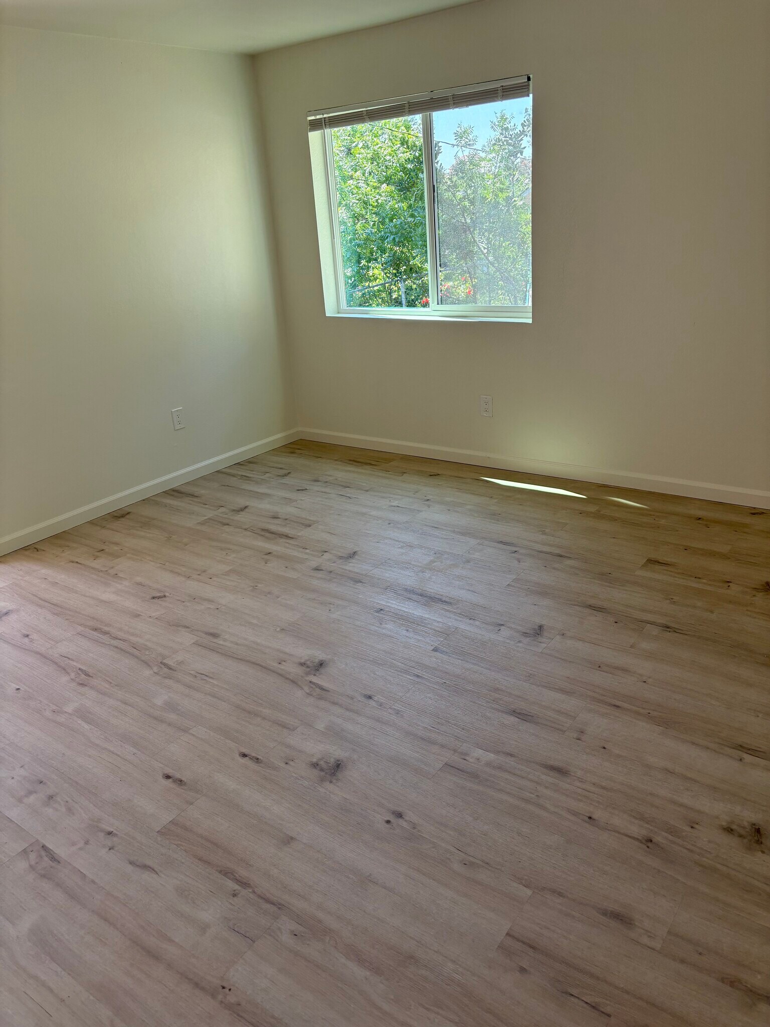 Building Photo - 5700 Olmeda Ave