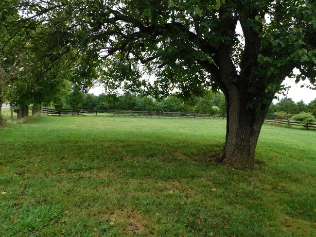 Building Photo - Location! Location! Location!